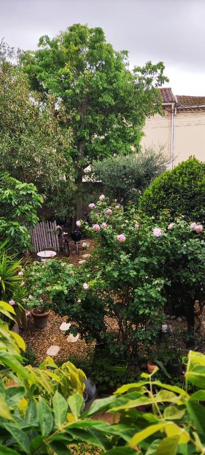 Villa Fontilha Usclas-l'Herault Εξωτερικό φωτογραφία