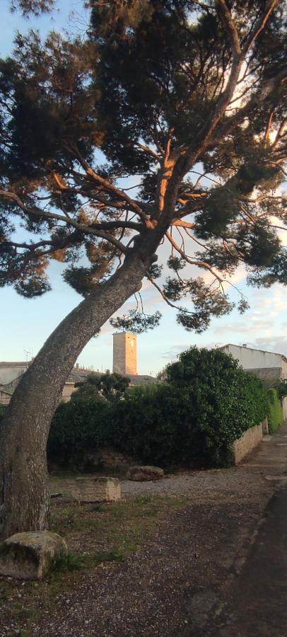 Villa Fontilha Usclas-l'Herault Εξωτερικό φωτογραφία